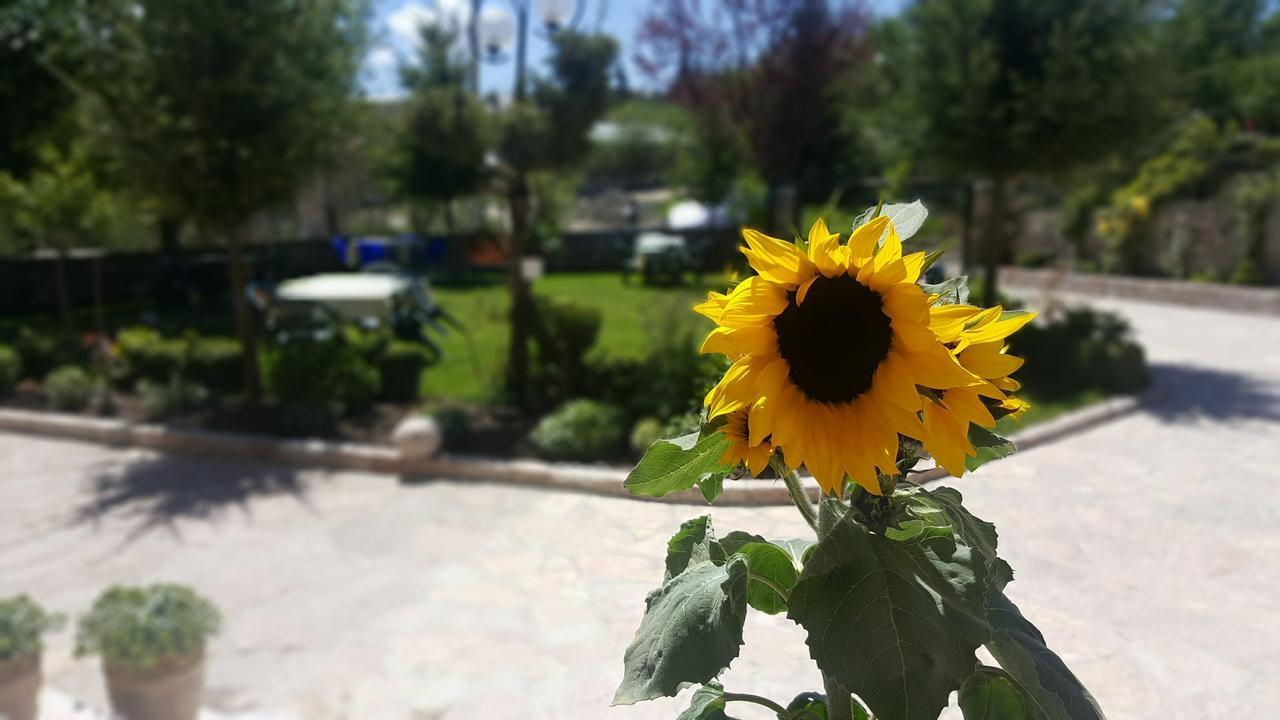 Pashuta Hotel Voskopojë Екстериор снимка